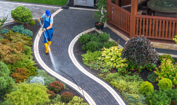 Best House Pressure Washing  in Helotes, TX