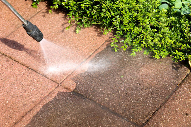 Best Roof Power Washing Services  in Helotes, TX